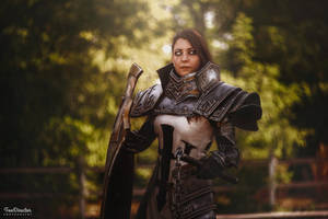 Crusader from Diablo cosplay