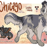 YCH: Rough Collie Reference [FINISHED]