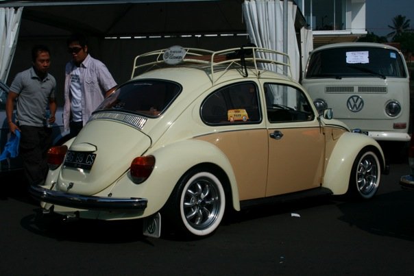 Two Tone Beetle 01