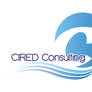 New CiRED Consulting Logos