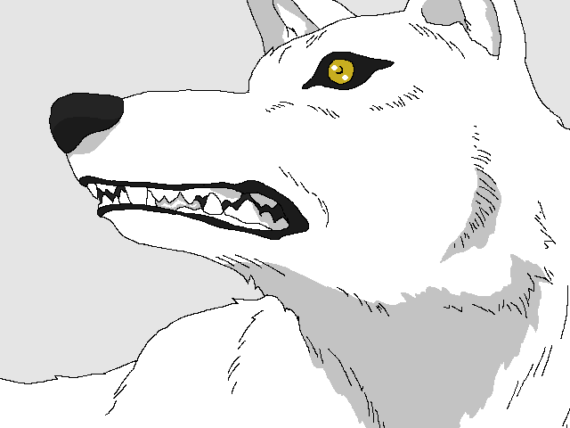 Wolfs Rain base 35