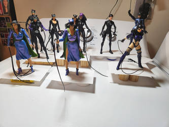 Custom Catwoman Figure Collection