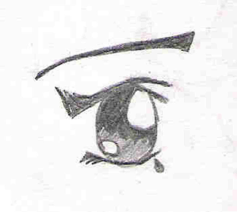 eye