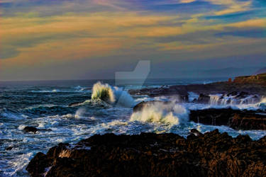 Pacific Coast Waves