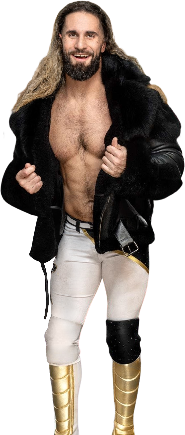 WWE Seth Rollins Full Render Edit 2025 by LastBreathGFX on DeviantArt