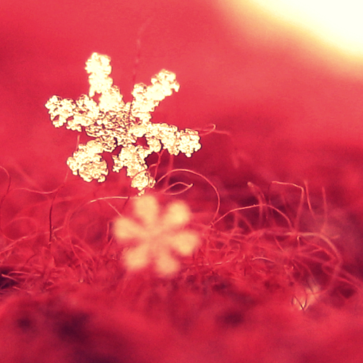 Frosty Ballerina