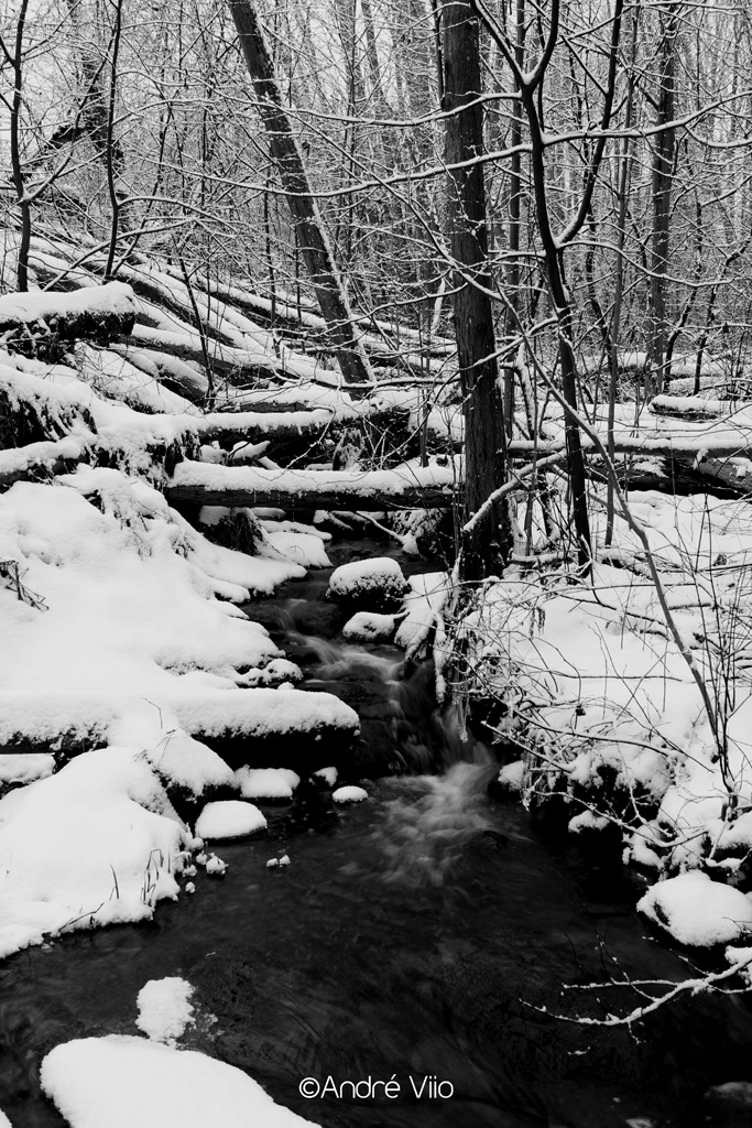 Winter stream