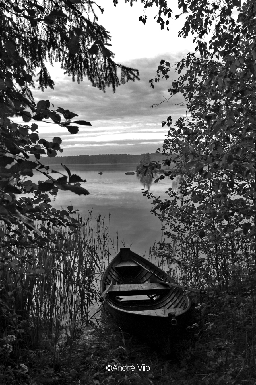 Rowboat bw