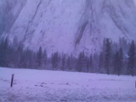 Yosemite: Snow Field