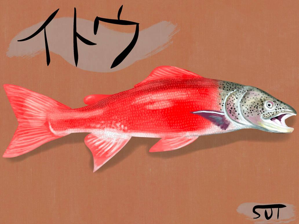 Stringfish (Sakhalin Taimen) Illustration by samdrawsdinos on