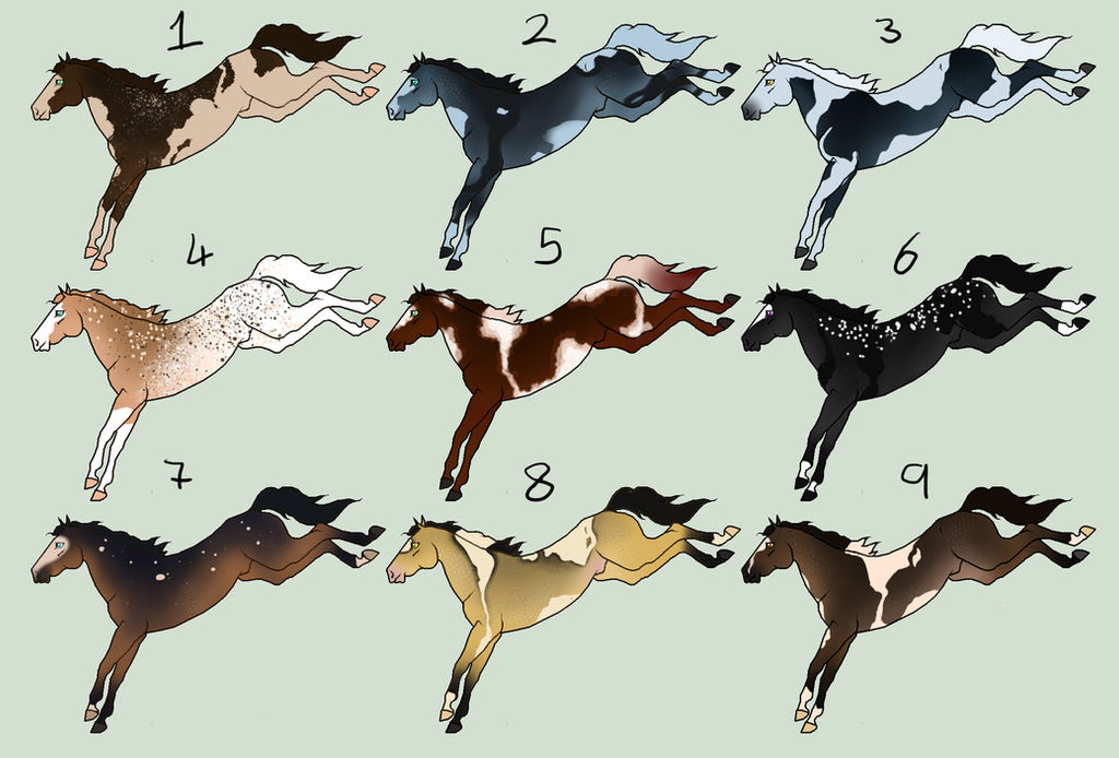 20 point horse adopts [1/9] -OPEN-