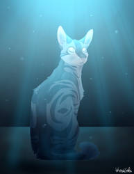 Jayfeather Pt.3