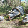 Dinosaur World: Triceratops