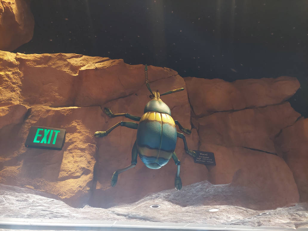 T-Rex Cafe: Insects by DinosaurDigs98 on DeviantArt