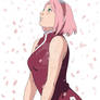 Sakura Haruno