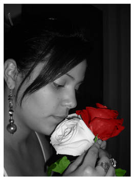 Roses to my Cousin