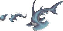 MagiStream: Caerulean Hammerhead