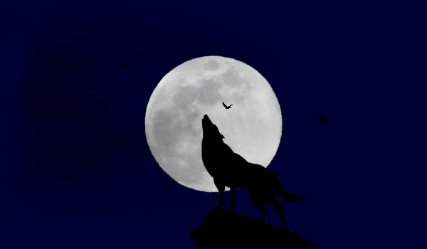 Howling Wolf by HJR-Designs on DeviantArt