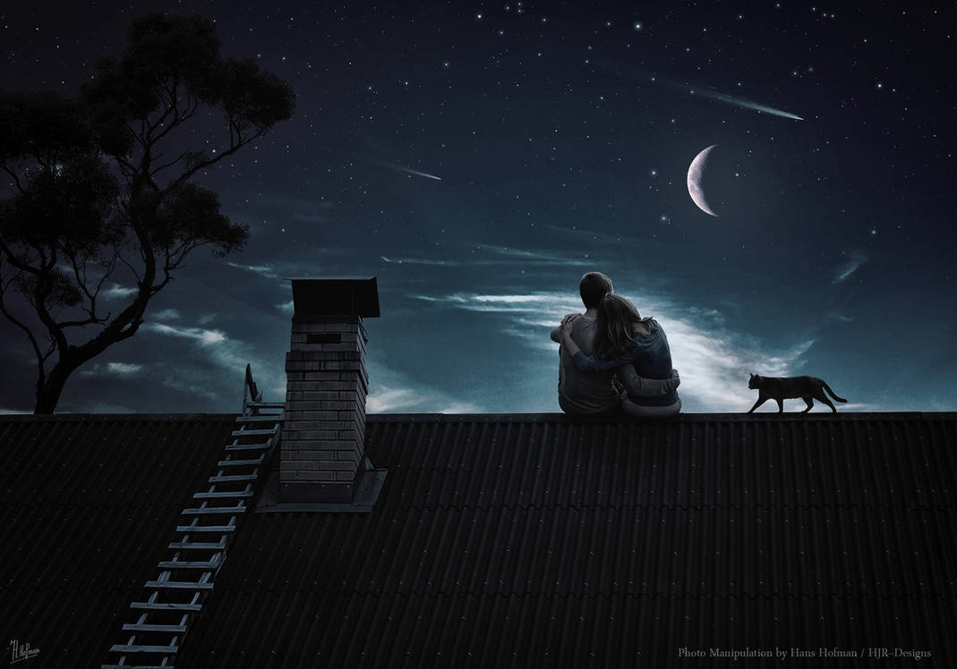 Луна над крышей дома. Крыша ночью. Пара на крыше. Крыша звезды. Человек в ночи.