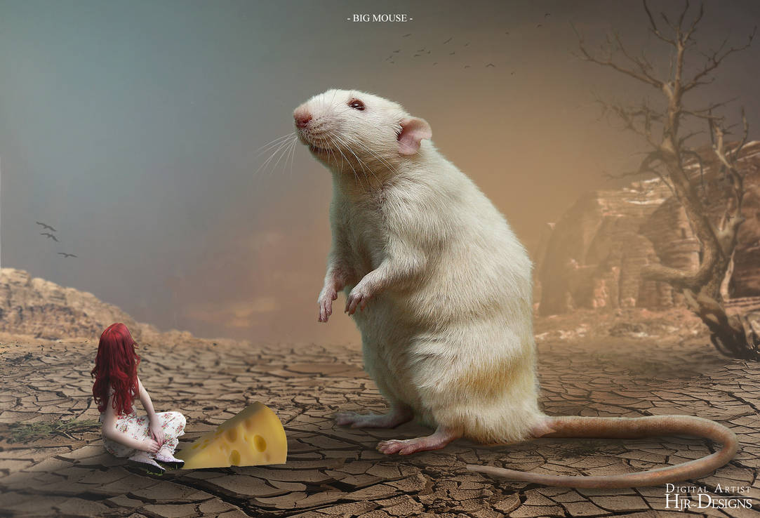Big Mouse by HJR-Designs on DeviantArt
