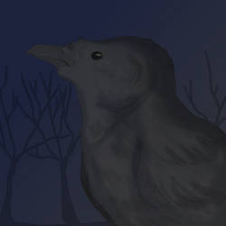 Nevermore