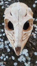 Deer Skull Mask