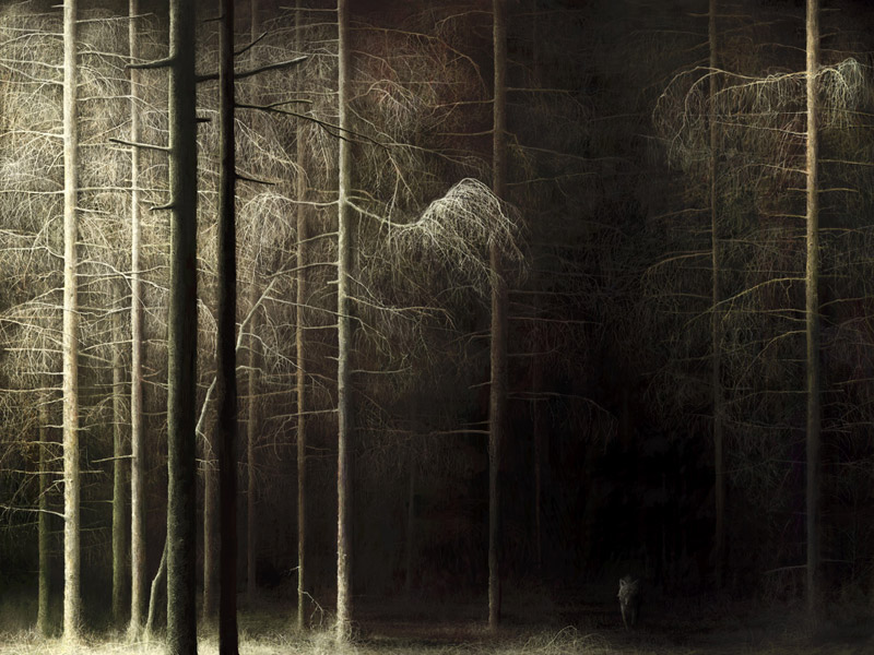 Forest