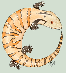 Merauke Skink logo