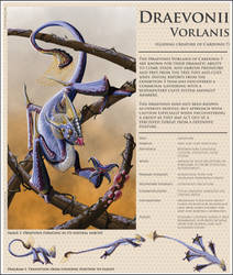 Draevonii Vorlanis - Gliding Creature of Cardonis