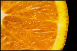 009-365 Citrus sinensis by mr-MINTJAM