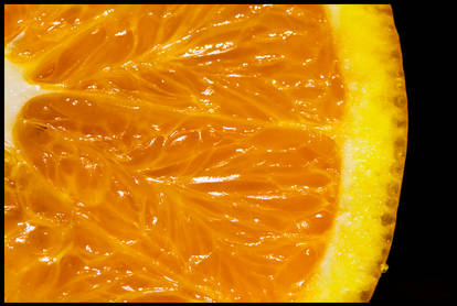 009-365 Citrus sinensis