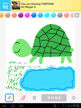 turtle