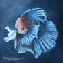 Fighting Fish