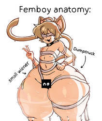 femboy 101