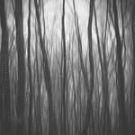 untitled by Mar-jus