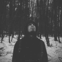 Wintertied ID