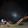 Oralia the Mermaid. 8
