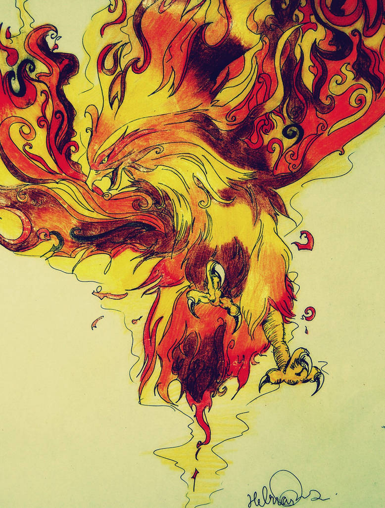 Phoenix in flames. by Pedobearq on DeviantArt