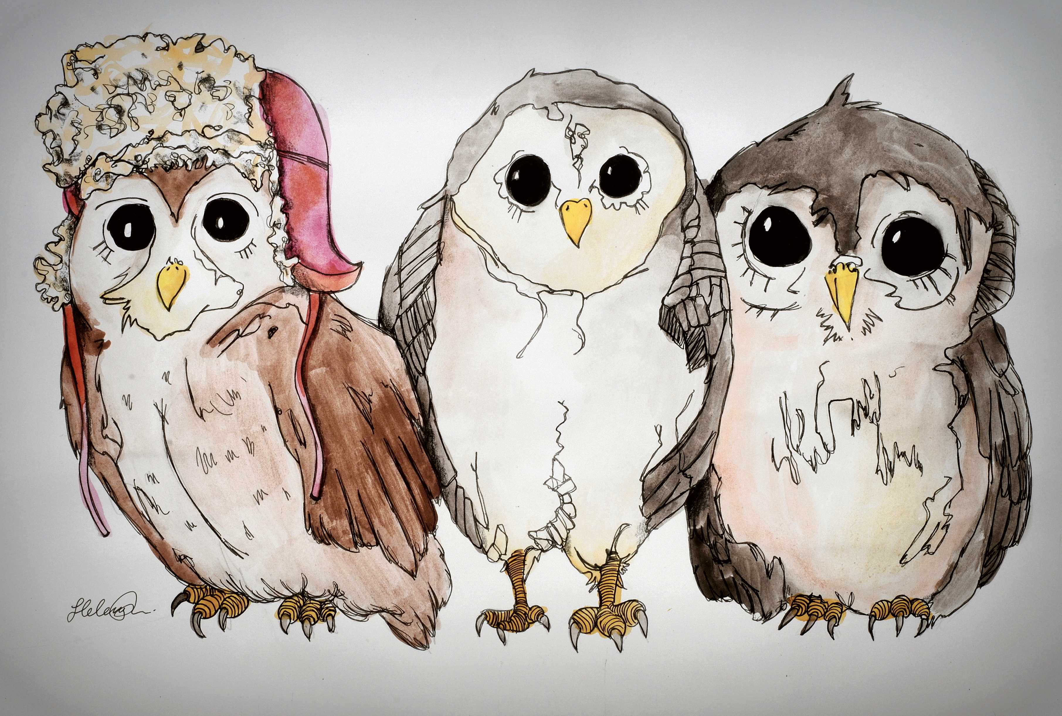 Owls.