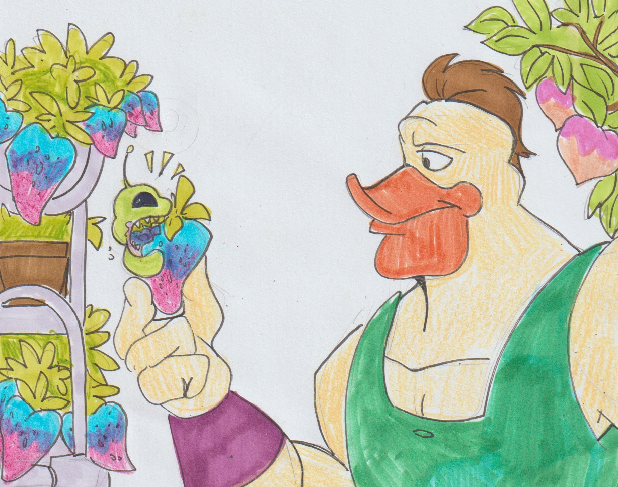 MD : Aurora Strawberries