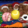 Christmas in Konoha