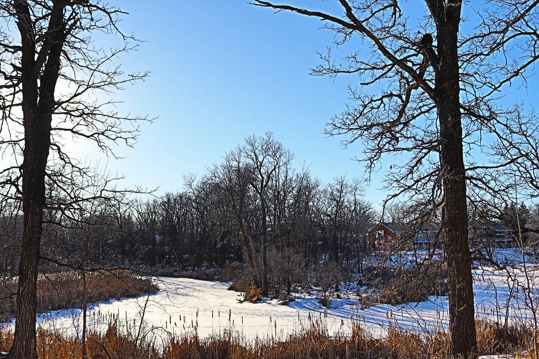Meandering Seine River (Manitoba) by CanonMan1 on DeviantArt
