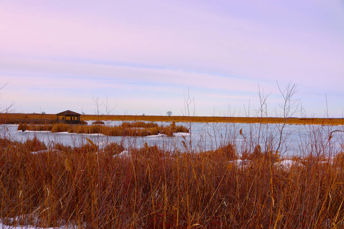 Spring Marsh Early Spring Wetland Marsh - Oak Hammock Marsh by Canon-Man1 on DeviantArt