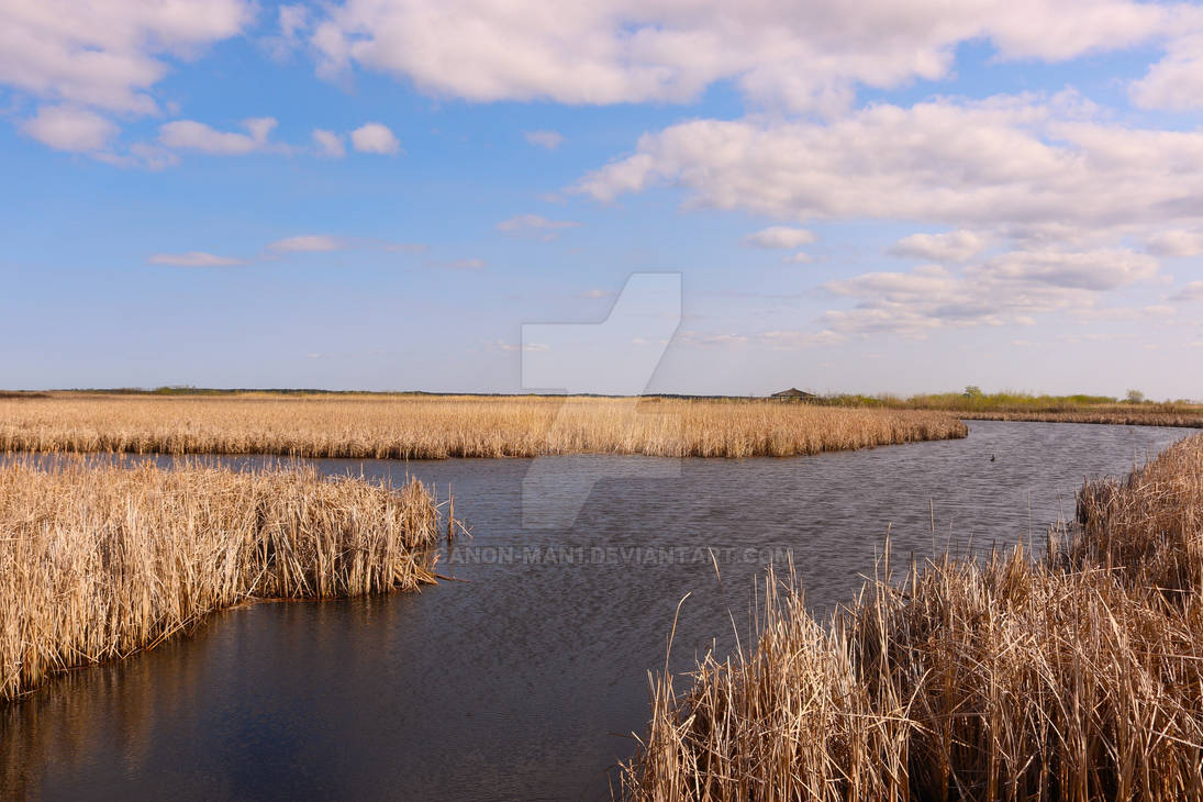 Spring Marsh Wetland Marsh in Spring by Canon-Man1 on DeviantArt