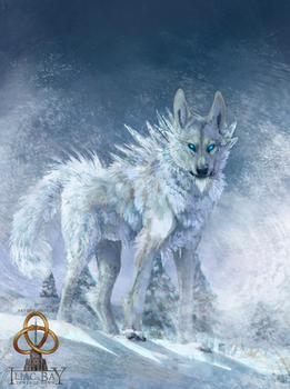 The snow wolf