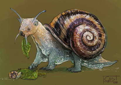 Snail x wombat