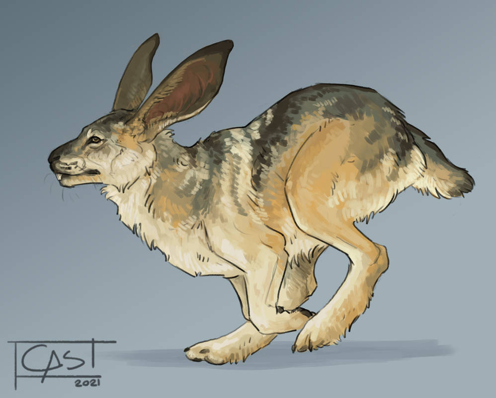 [Creature] bunny x wolf