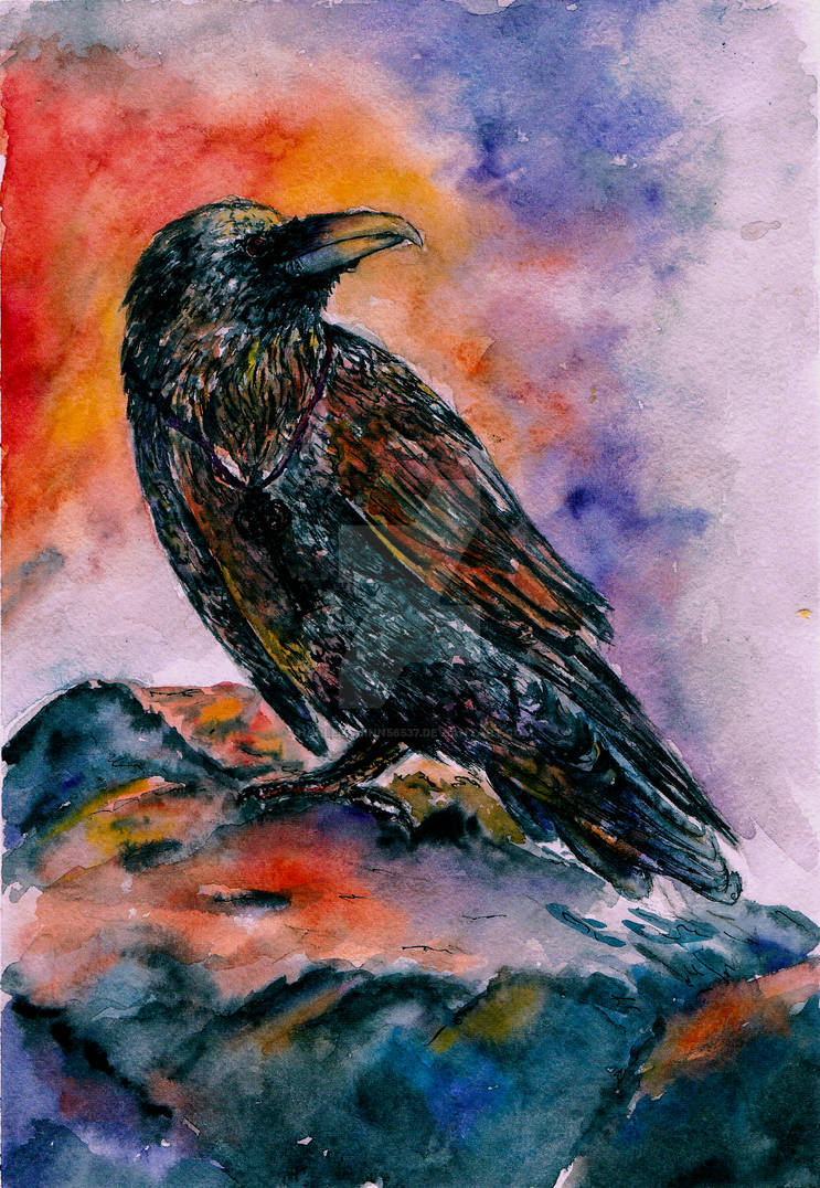 Fire Raven Color Fire Raven by HarleyQuinn56537 on DeviantArt