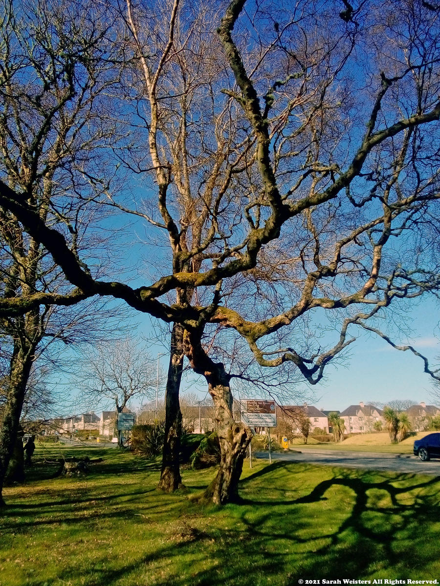 15.4.2021 2 Fire Meet Gasoline by SarahWeisters on DeviantArt