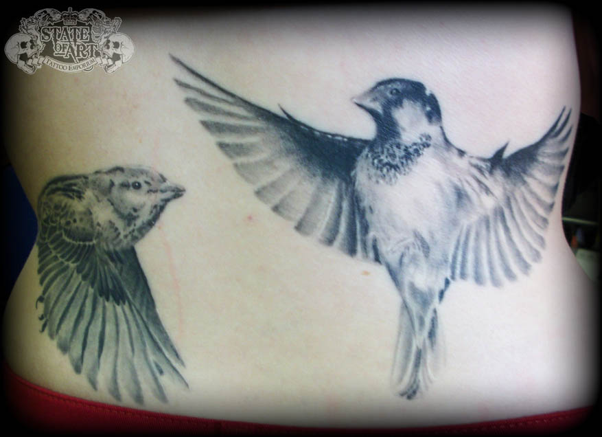 Sparrows healed 2